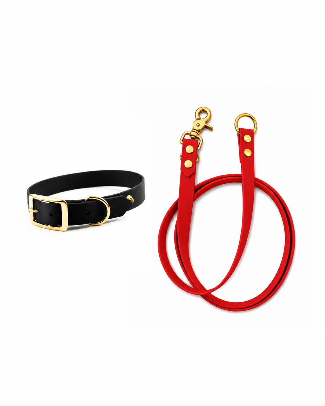 Set l’essentiel - laisse rouge