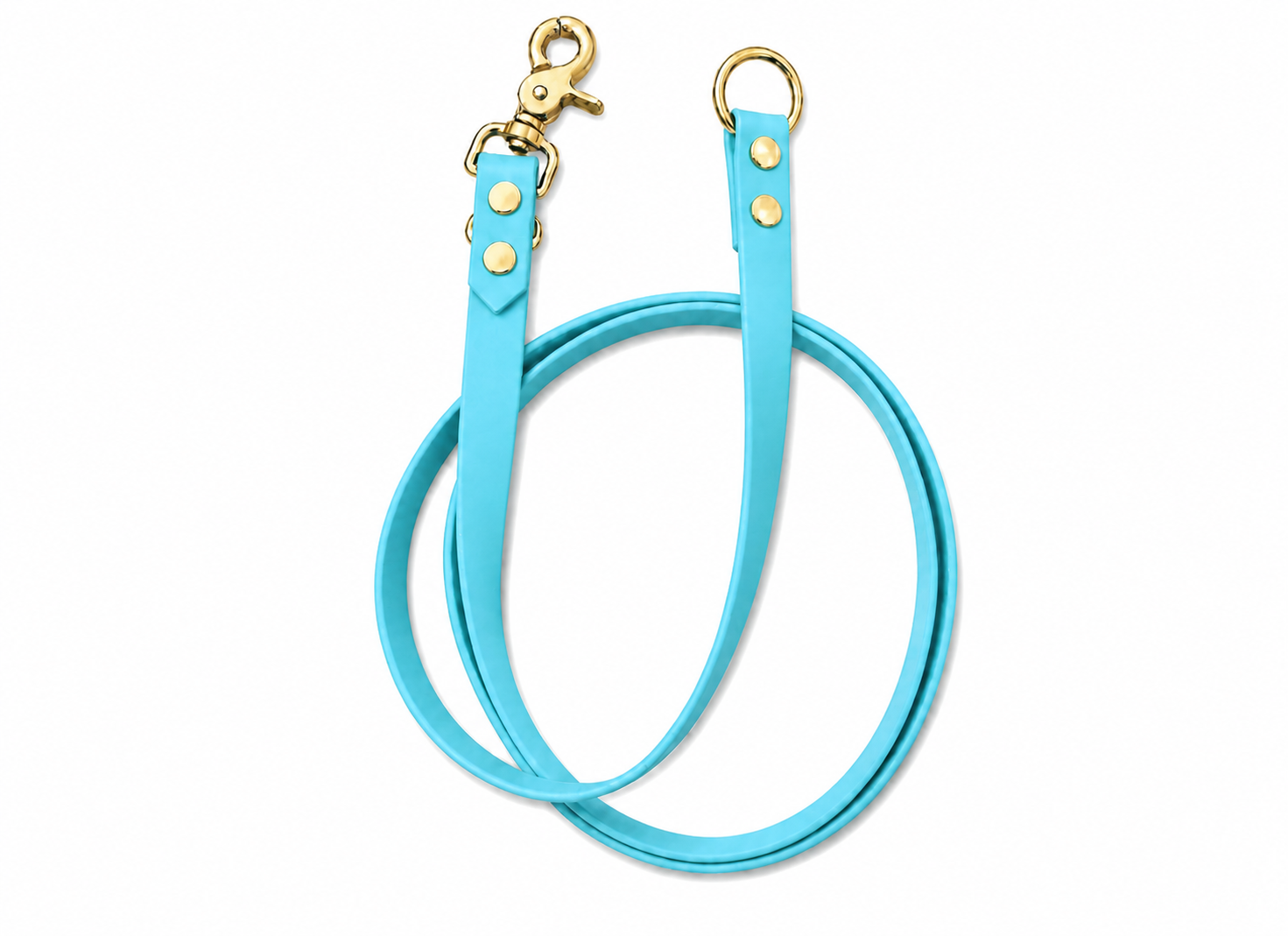 Set l’essentiel - Laisse cyan