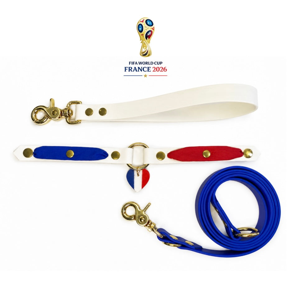 Porte médaille et médaille - Coupe du monde 2026 ⚽️