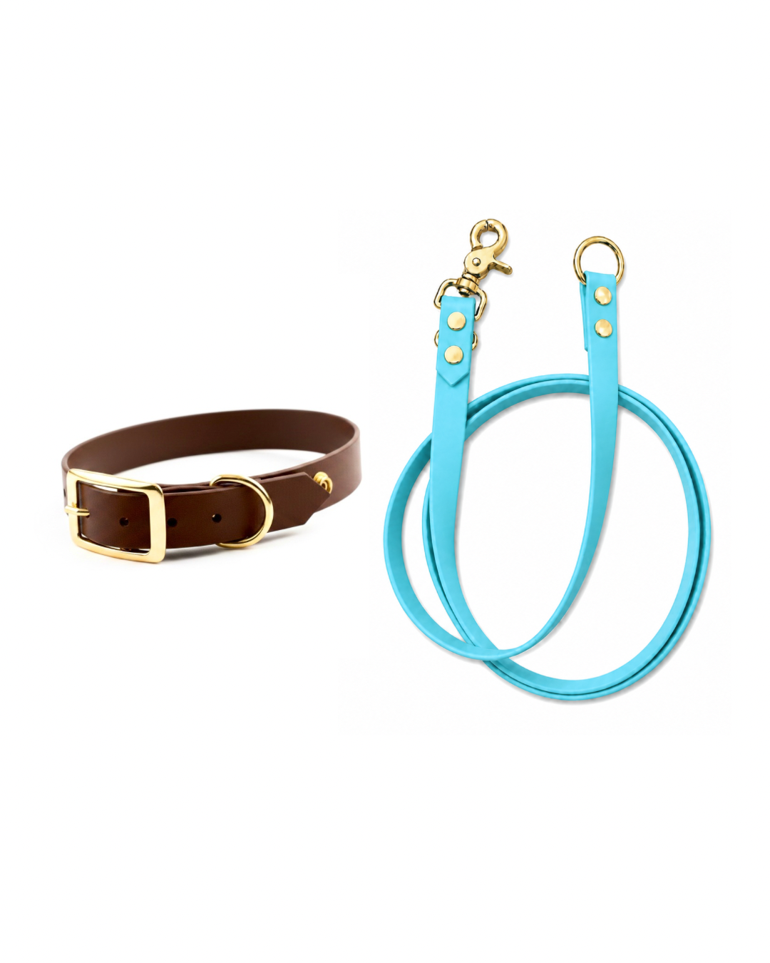 Set l’essentiel - Laisse cyan