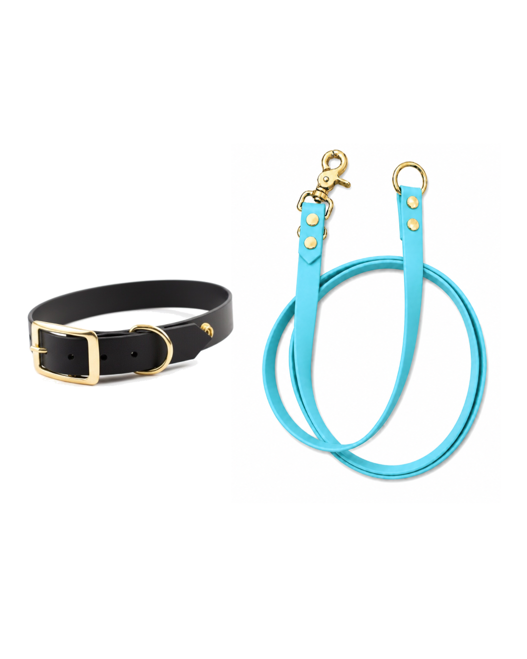 Set l’essentiel - Laisse cyan
