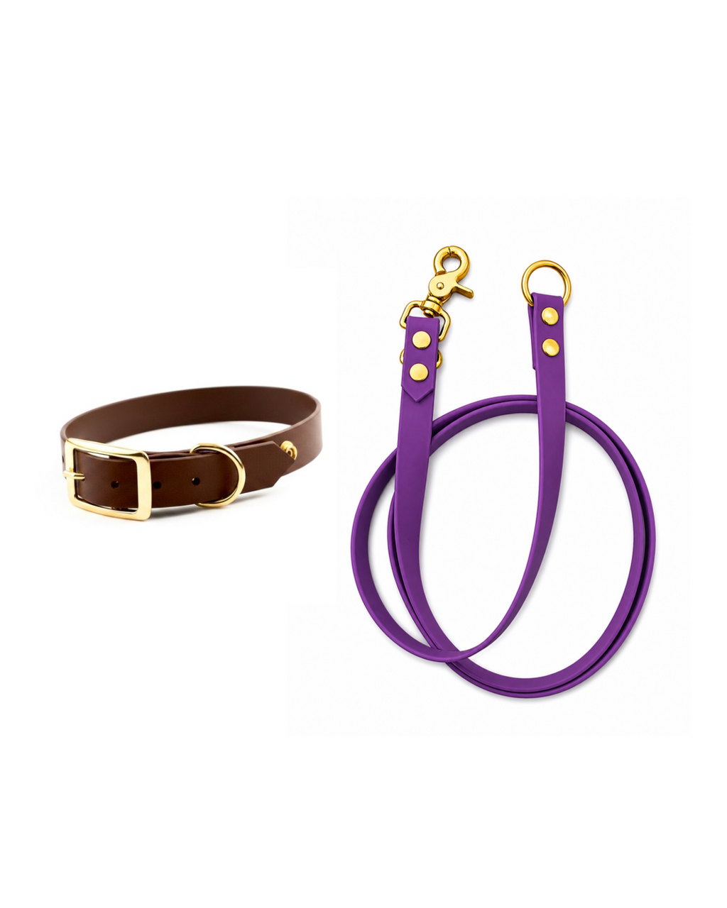 Set l’essentiel - Laisse violette