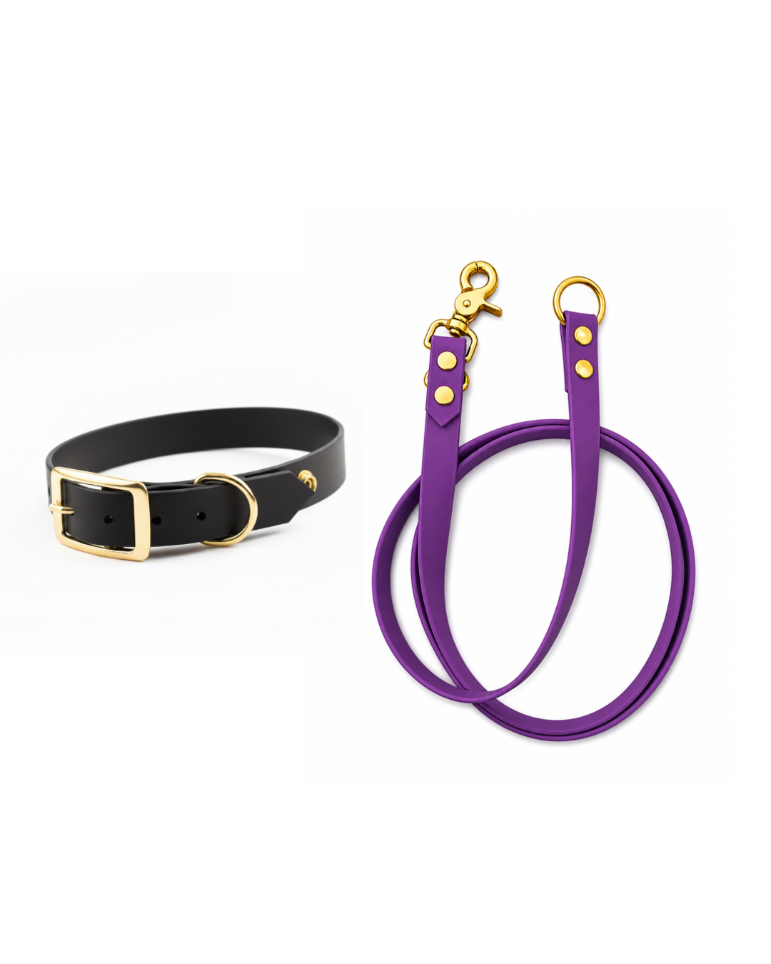 Set l’essentiel - Laisse violette