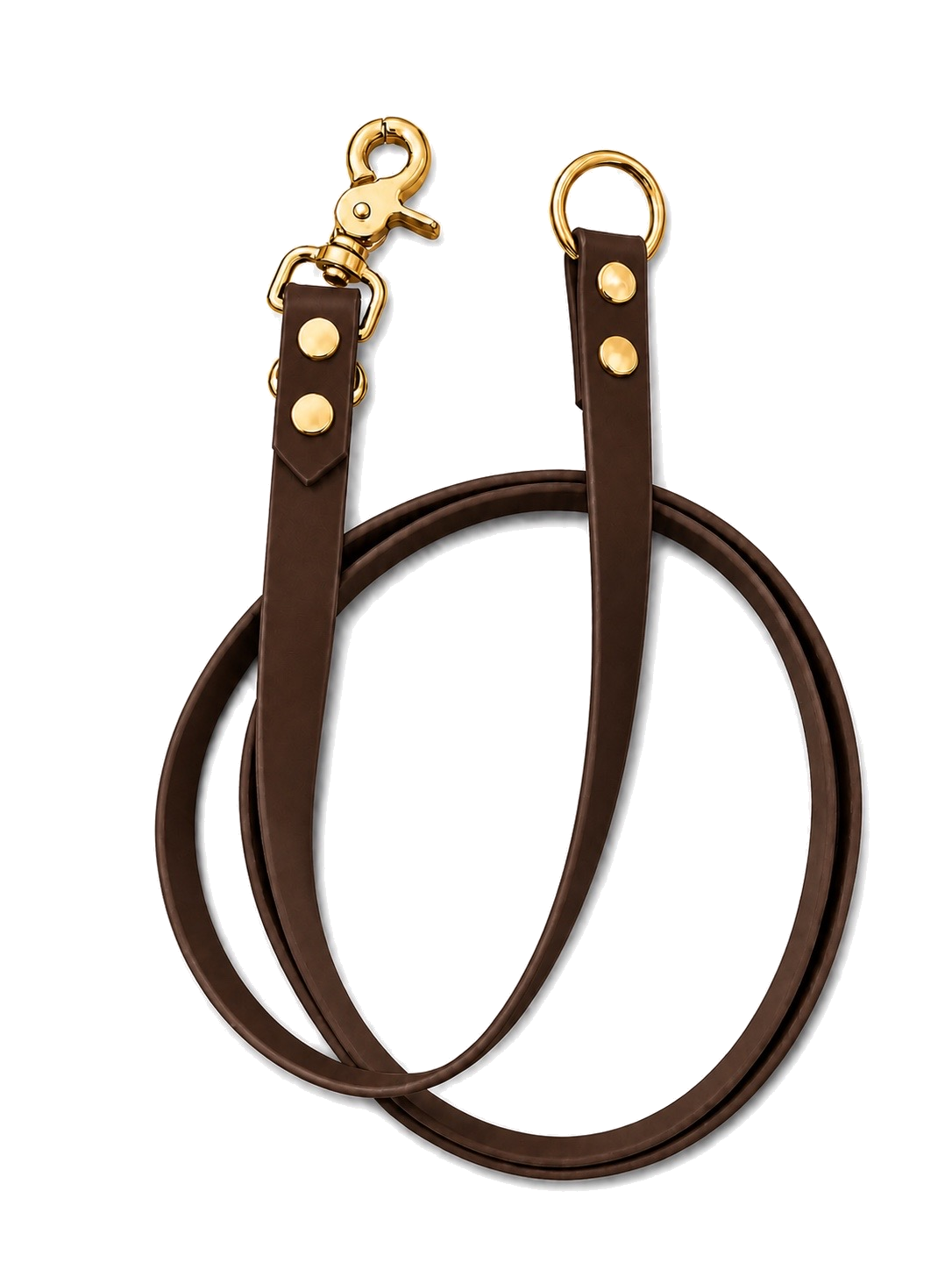 Laisse simple - marron