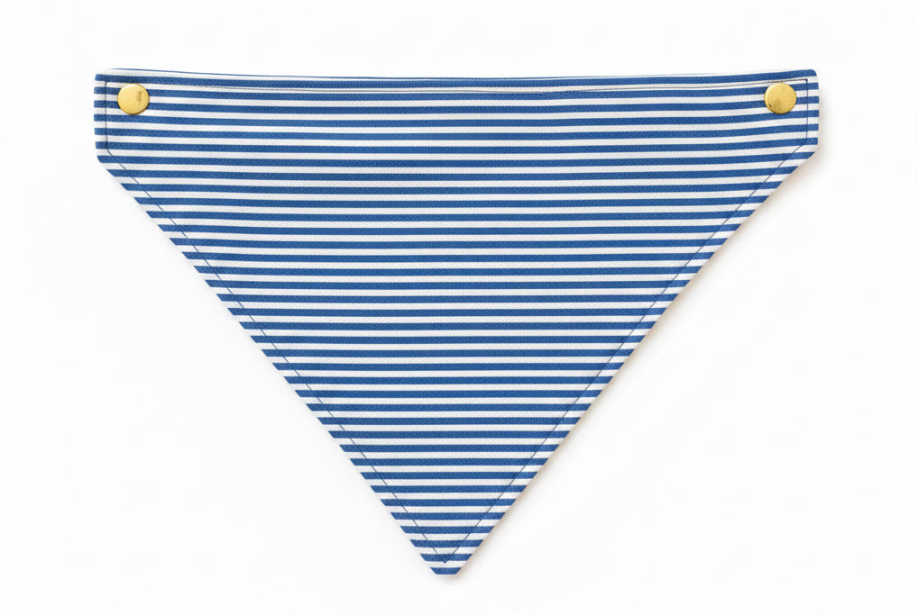 Bandana clipit - Capitaine