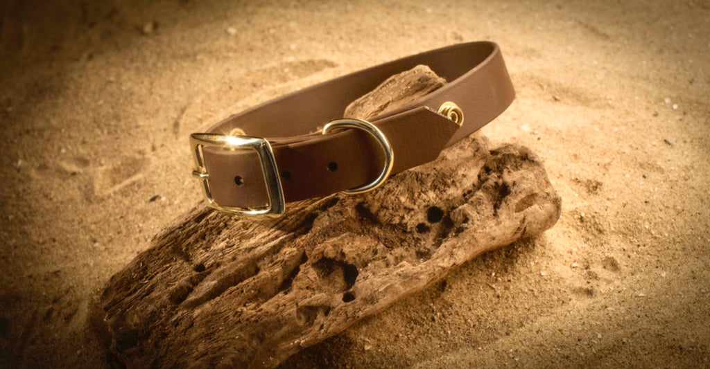 Collier Clipit