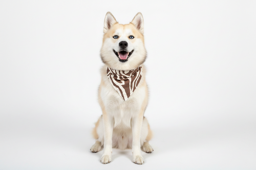 Bandana clipit - Safari Chic