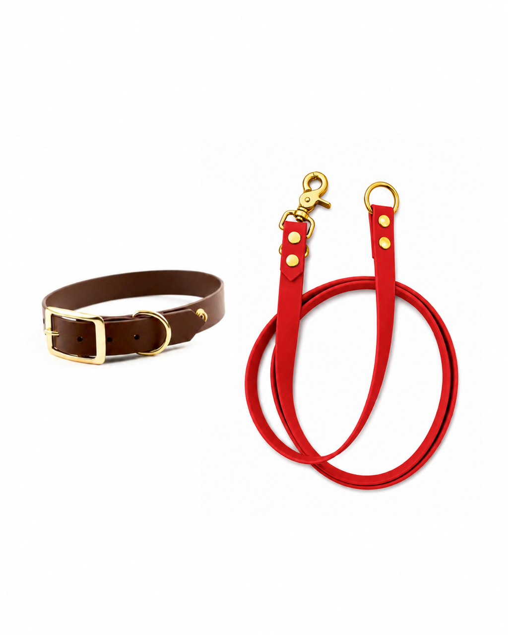 Set l’essentiel - laisse rouge
