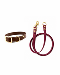 Set l’essentiel - Laisse bordeaux